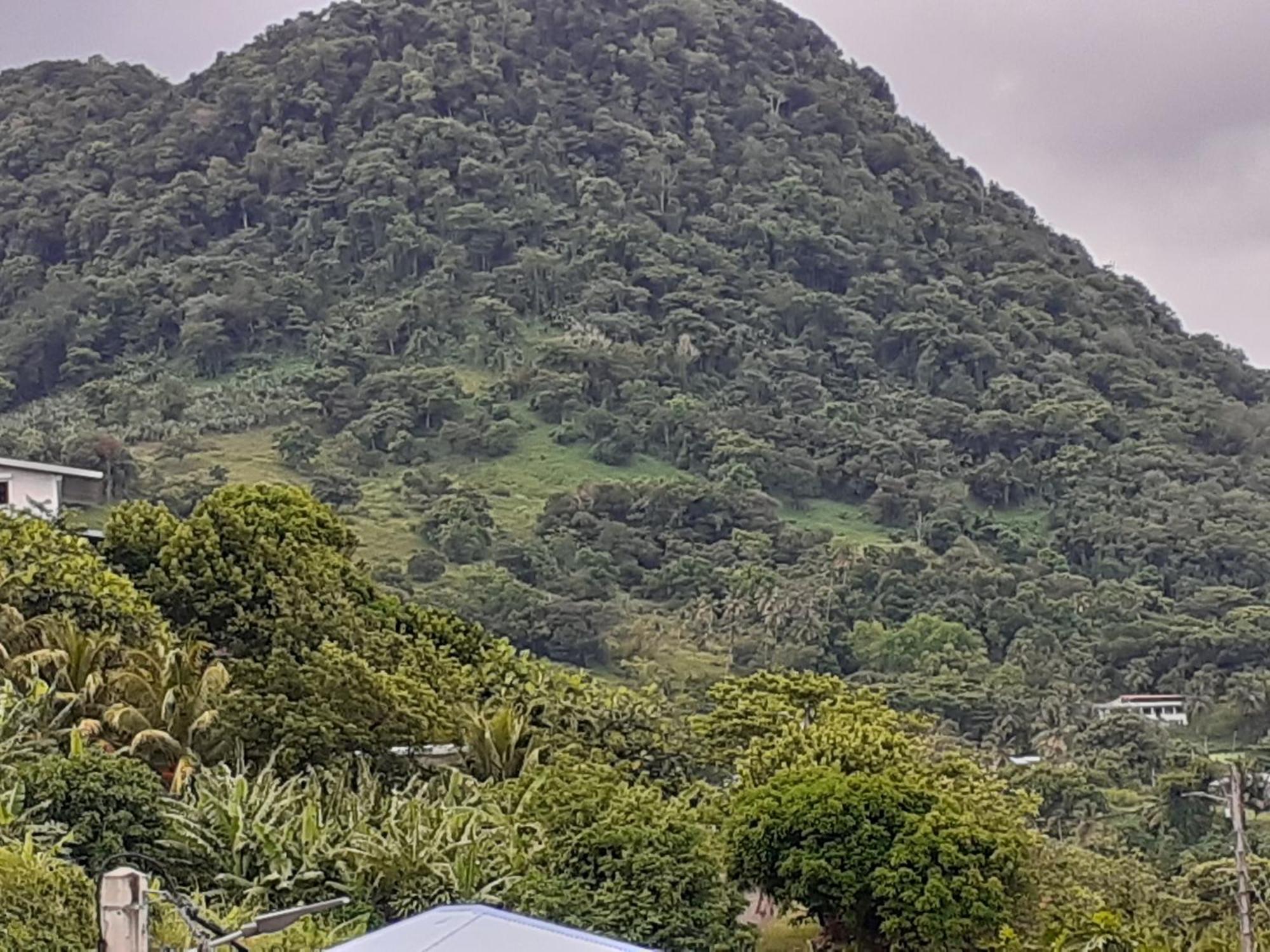 Awmony'Kaz, Gite A Trois-Rivieres Guadeloupe Экстерьер фото
