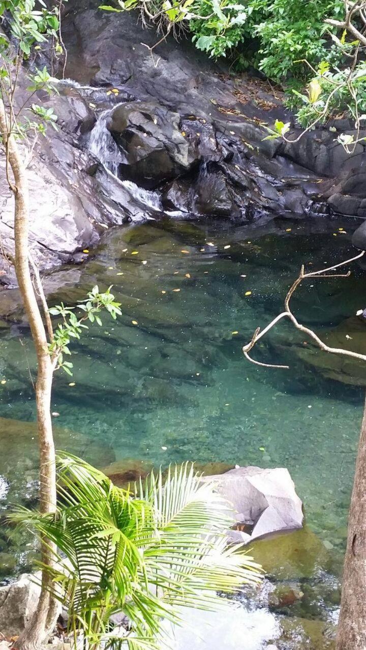 Awmony'Kaz, Gite A Trois-Rivieres Guadeloupe Экстерьер фото
